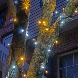 Wintergreen Lighting 50 Count 5MM Champagne String Lights