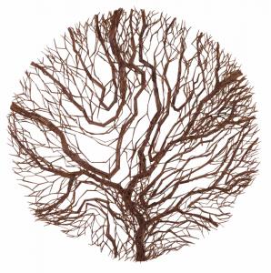 Untitled circa 1947 branch form sculpture made from welded steel-cut nails attributed to Harry Bertoia (1915-1978), last sold at Phillips auction house in New York in 2002 for over $50,000.