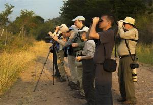 Peru birding tours