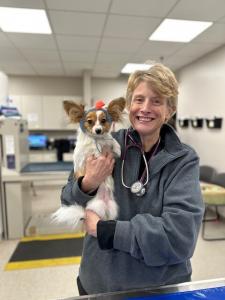 Dr. Heather White, at her practice of in-home pet euthanasia in Memphis, TN and surrounding areas