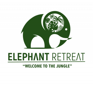 Elephant Retreat in Chiang Mai, Committed to Ethical Elephant Care in accordance with World Animal Protection Guidelines