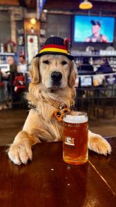 MOSS BAY HALL’S FIRST ANNUAL OKTOBERFEST PRESENTS A FULL LINEUP OF ACTIVITIES FOR FAMILY, FRIENDS AND THEIR DOGS