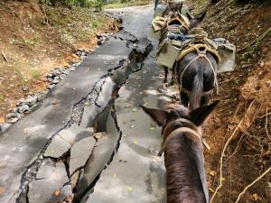 Diamond Bar Ranch, an Equine Rescue and Sanctuary, Reminds Americans “Equines Have Not Outlived Their Usefulness”