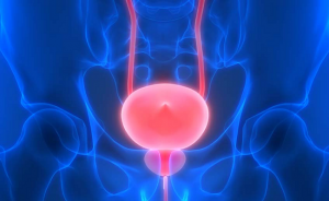 Global Muscle Invasive Bladder Cancer Therapeutics Market Size