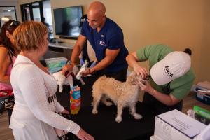 Dr. Kwane Stewart and the Riverside Project Street Vet team providing care to pets