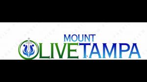 Mount Olive Baptist Church GoFundMe link