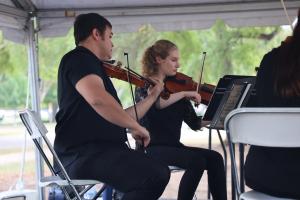 Violins Play Classical Music