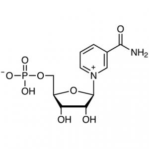 Nicotinamide Mononucleotide Market