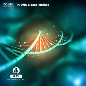 T4 DNA Ligase Market