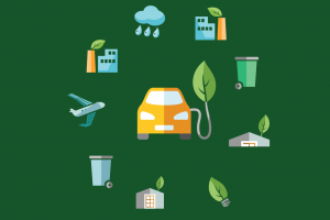 Biofuels Market insights