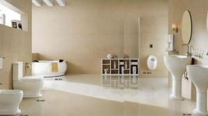 Ceramic Sanitaryware Market