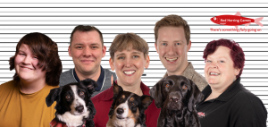 Photo of the events team at Red Herring Games, showing Joseph, Jo, Tina, Kieran, Tristan and the three dogs: Floss, Mary Alice and Waffle.