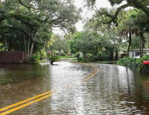 Leading Environmental Group Offers Guidance for Visiting Natural Areas After Disasters