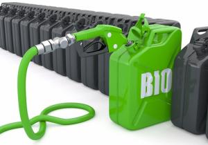 Biofuels Market Size