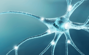 Nerve Repair and Regeneration Market