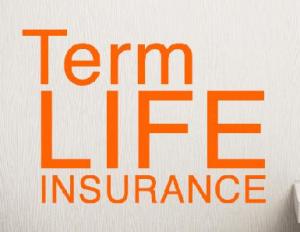 Term Life Insurance and Re-Insurance Market