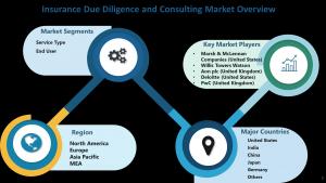 Insurance Due Diligence and Consulting Market