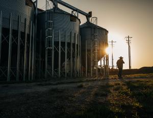 Jackson Purchase Distillery in Hickman, KY, sun rising over distillery