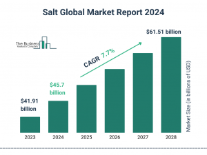 Salt Market Growth Analysis with Investment Opportunities For 2024-2033