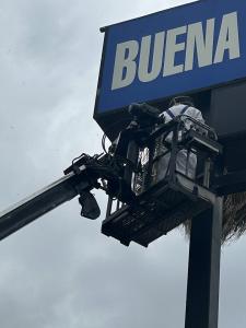 Bees nesting inside a business sign