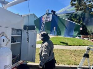 The best termite control for drywood termites in California