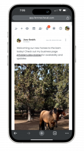 Custom App Developer Equestrian Network