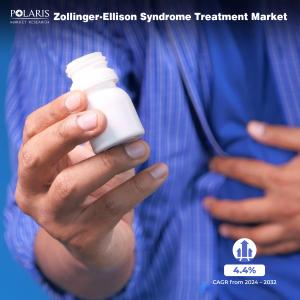 Zollinger-Ellison Syndrome Treatment Market