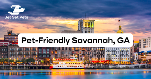 Jet Set Pets Guide to Pet-Friendly Savannah GA