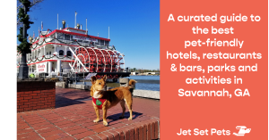 Jet Set Pets Unleashes the Ultimate Guide to Pet-Friendly Savannah, GA