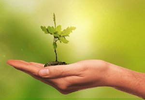 Environmental and Engineering Consulting Services Market