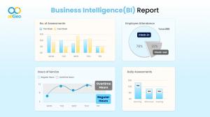 allGeo Business Intelligence Report