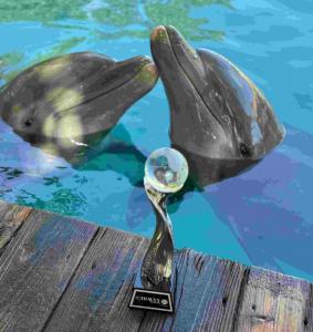 The Dolphin Company celebra los Travvy Awards