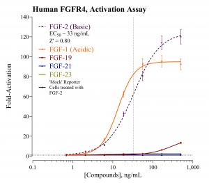 FGFR4 Activation Data Plot