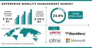 Enterprise Mobility Management Market Report
