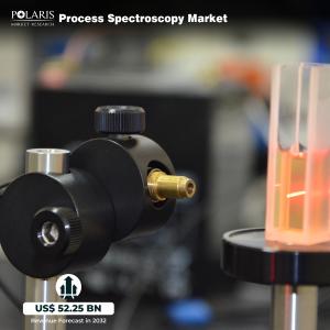 Process Spectroscopy Market