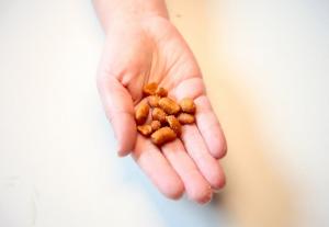 Global Peanut Allergy Treatment Market