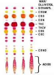 Shows were each cannabinoid sits on the tlc plate