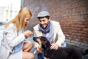 FDA food recalls also include pet foods. Feed your pets safely!