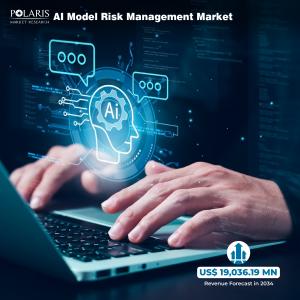 AI Model Risk Management Market