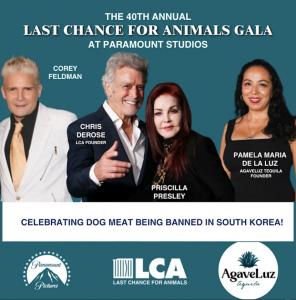 Pamela Maria De La Luz at Last Chance for Animals’ 40th Gala celebrating the U.S. launch of AgaveLuz Organic Tequila, a brand supporting animal welfare.