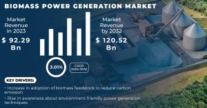 Biomass Power Generation Market