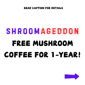 enter to win free mushroom coffee from Shyne for one full year.