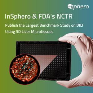 InSphero's 3D InSight™ Human Liver Microtissues Cultivated with Akura™ 384 Spheroid Microplate