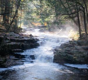 Photo shows a frothy fast running creek with a 5ft waterfall drop. The water is bordered by tall forest trees and has steam rising in the sunlight.