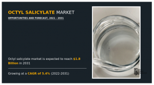 Octyl Salicylate Market
