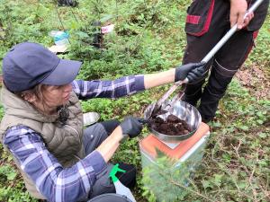 Soil Sampling Campaign Bioservices 2024