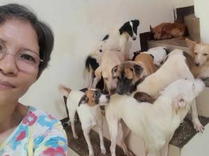 Independent dog shelter owner, Vercy Romero, was exceedingly grateful to Altenew for funding essential supplies for over 80 dogs in her care.