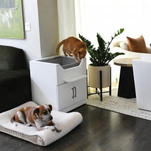 LoftyLoo elevated litter box designed to be dog-proof, keeping dogs out while providing cats a safe, accessible, and elevated space to use the litter box comfortably.