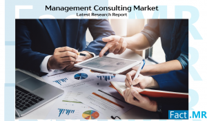 Management Consulting Market