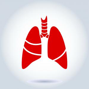Asthma Affects the Airways and Lungs